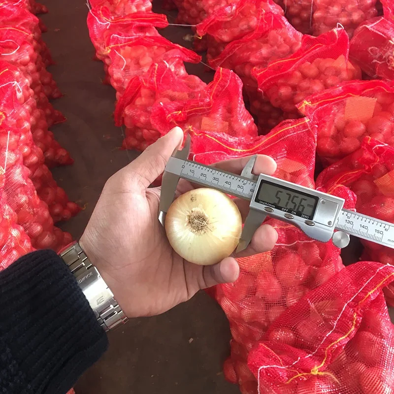 
Fresh Onion In Bulk Cheap Red/Yellow Onions For Sale 