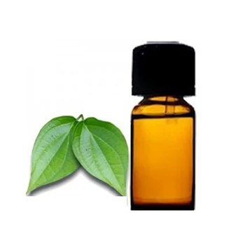 Betel Leaf Oil Piper Betle Buy Daun Sirih Minyak Piper Betle Daun Sirih Minyak Piper Betle Daun Sirih Minyak Piper Betle Product On Alibaba Com