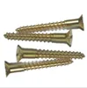 Window Frame Concrete with Flat Head 5 Nib Under Head T30 Torx Window Concrete Screw and Concrete Nail