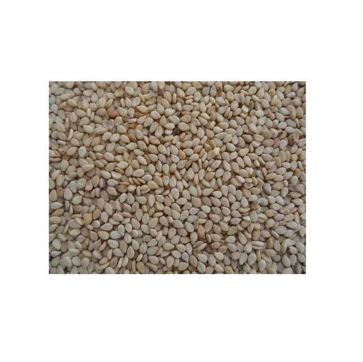 Natural Sesame seeds.jpg