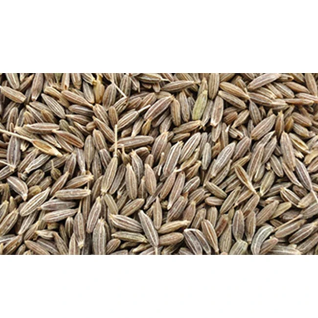 
Exporter of Wholesale Spices Natural Dried Cumin Seed India 