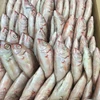 Good Quality FROZEN Red Seabream/ Red snapper Fish WR/fillet