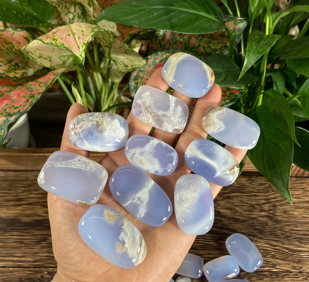 

Wholesale Mixed colors Blue Chalcedony Palm Stones Natural Crystal gemstone blue agate Palm healing Stones Tumbled Stones, Natural blue/mixed colors