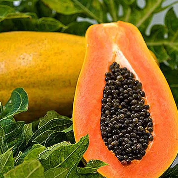 
Papaya Seeds 