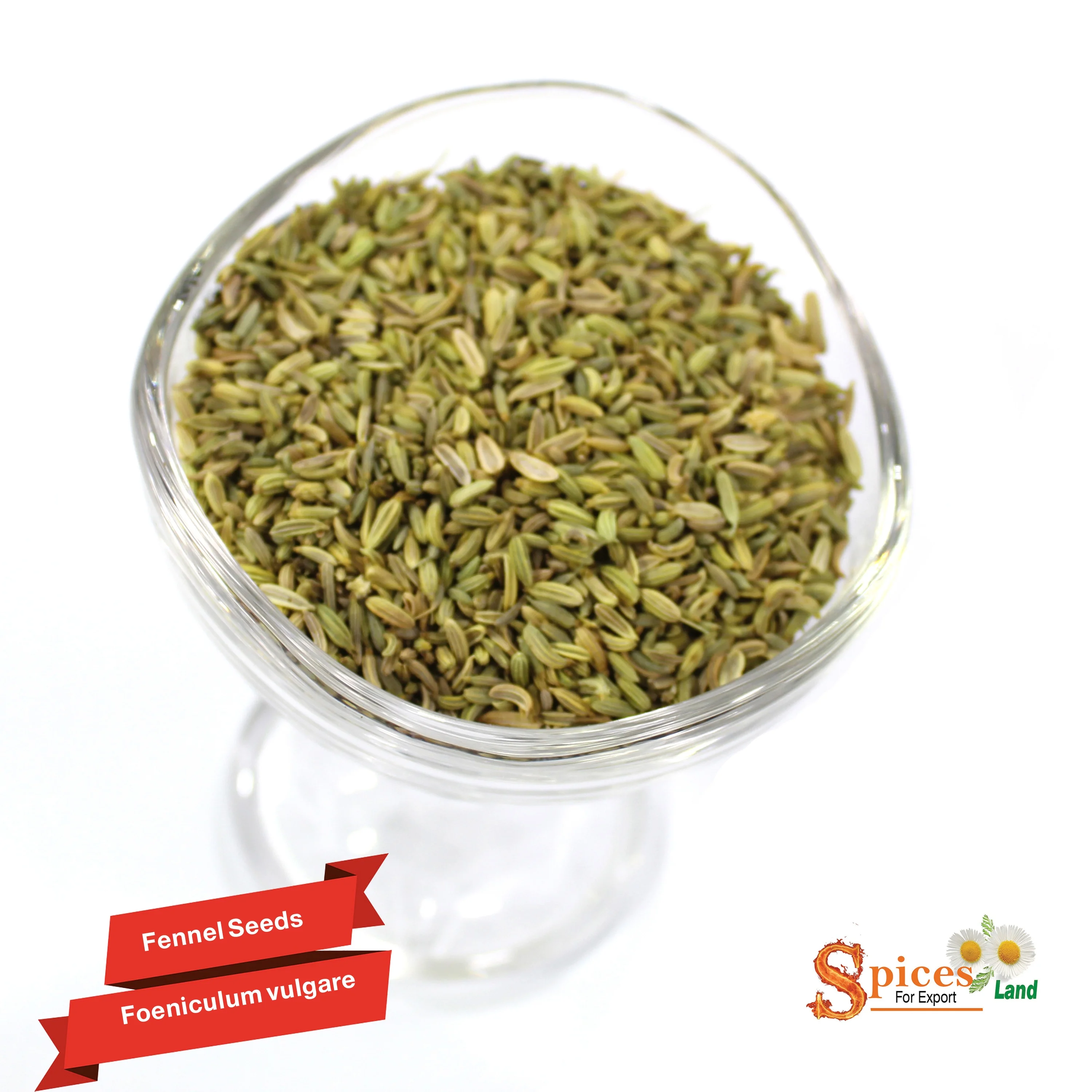 
wholesale fennel seeds - BEST QUALITY, BEST PRICES (SPICES LAND FOR EXPORT) 