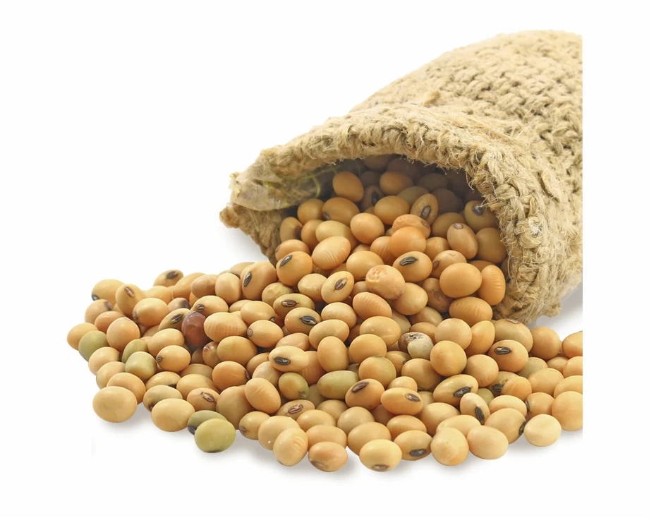 2019 food organic soybean/ soya bean/ soybeans ukraine