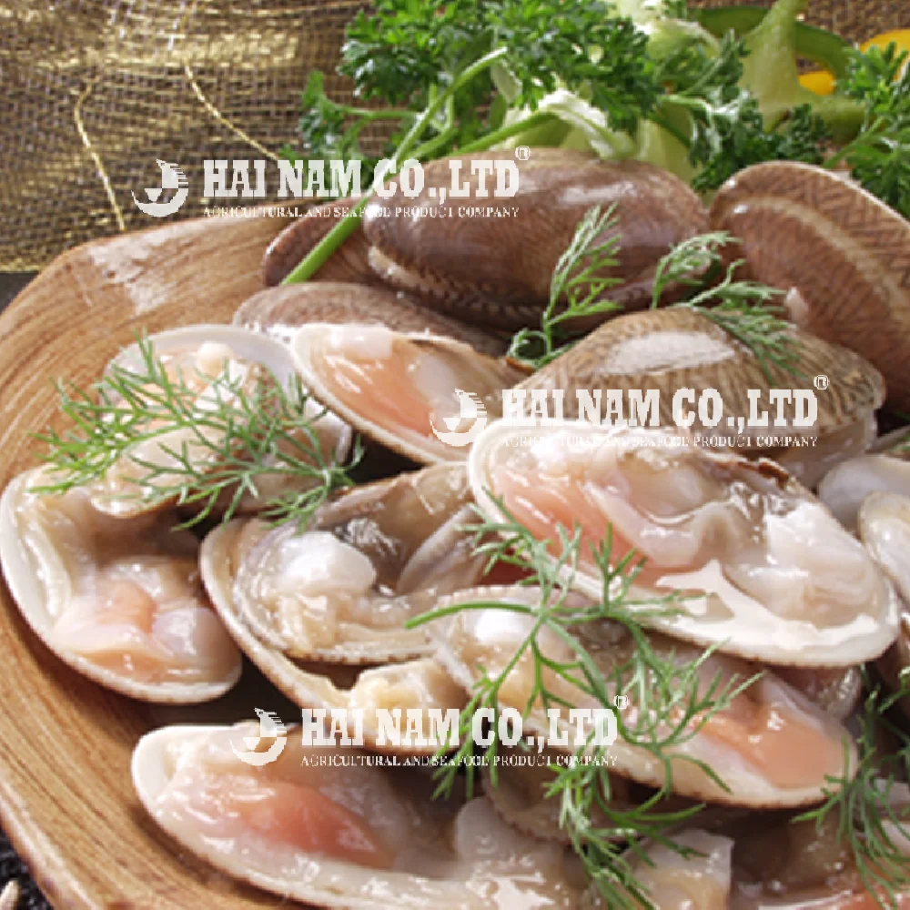 
Wholesale High Quality Frozen Yellow Clam Without Shell Made In Vietnam 