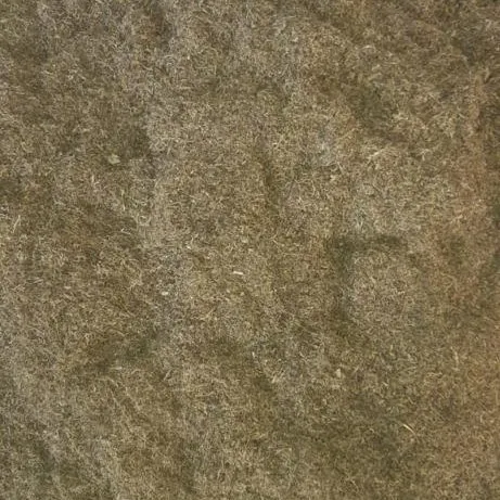 square...jpeg