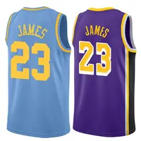 

18-19 Embroidered #23 Men's LeBron James Purple/Blue Basketball Jersey/Uniform