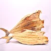Fresh frozen horse mackerel fish in stock