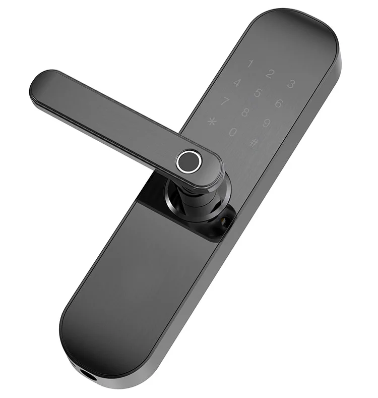 
4 AA Battery Zinc Alloy Smart Lock For Main Door M16 