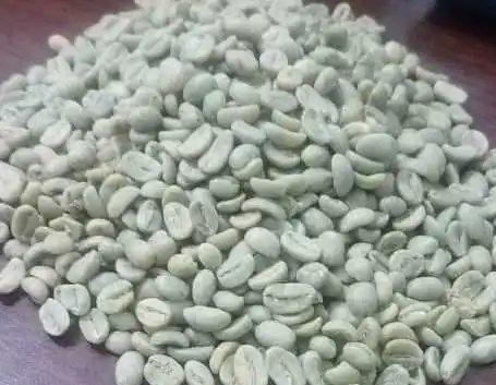 Sidmo Washed quality.jpg