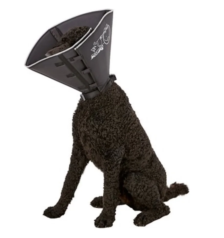 The Patented Comfy Cone By All Four Paws,Black,For Dogs,Pet Recovery