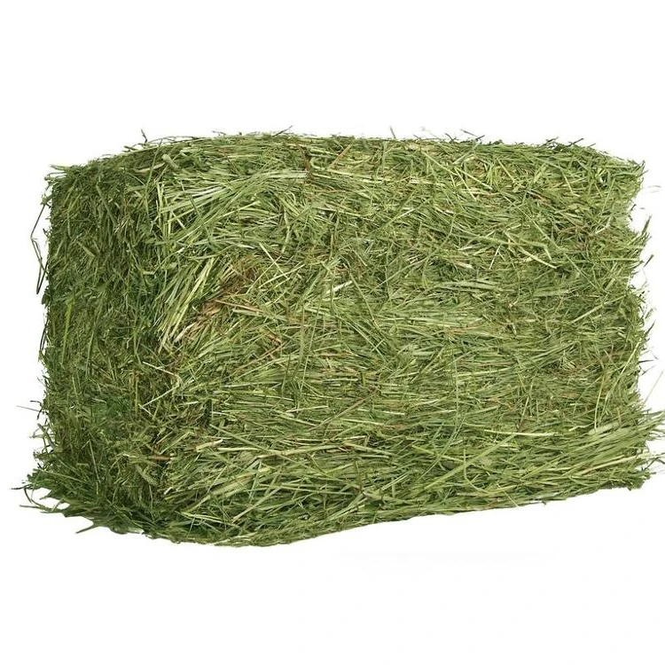Купить сено в спб. Солома пшеничная тюк (20 кг). Луговое сено в тюках. Сено (Клевер+люцерна) 1 тюк. Сено пучок.