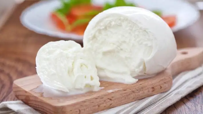 buffalo mozzarella cheese