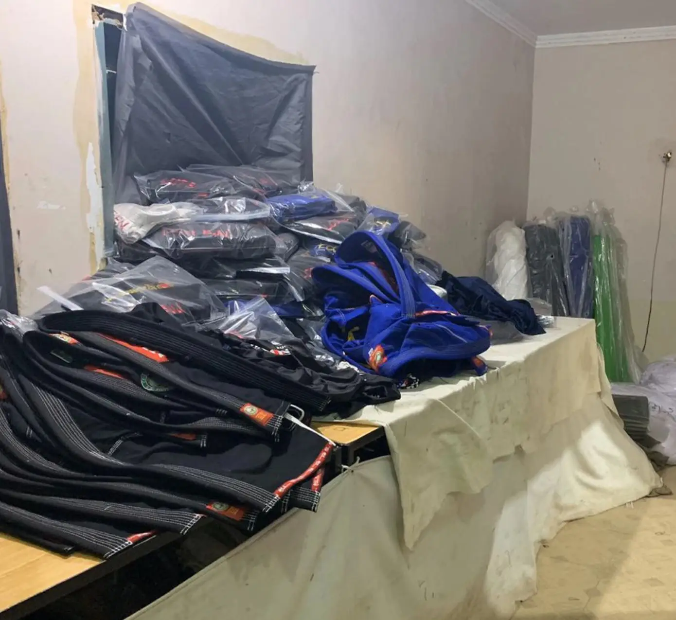 PACKING 2.JPG