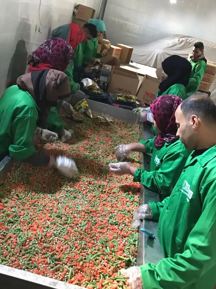 
Egyptian frozen mixed vegetables class one 