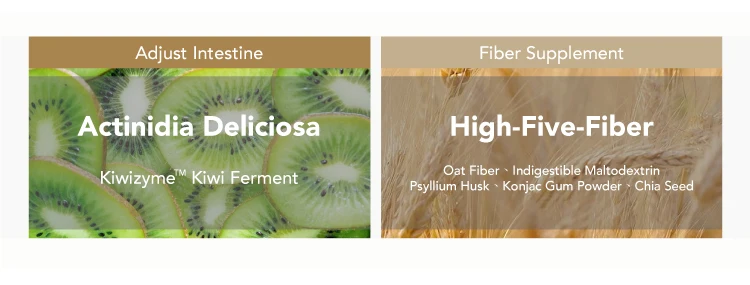 HNC_Fulltastic-Kiwi-02