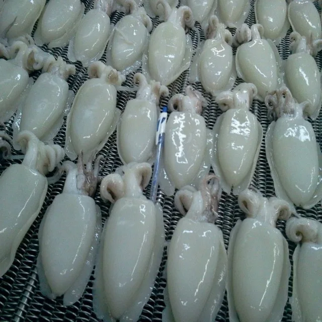 
BEST PRICE FROZEN WHOLE CLEANED CUTTLEFISH IN VIET NAM 