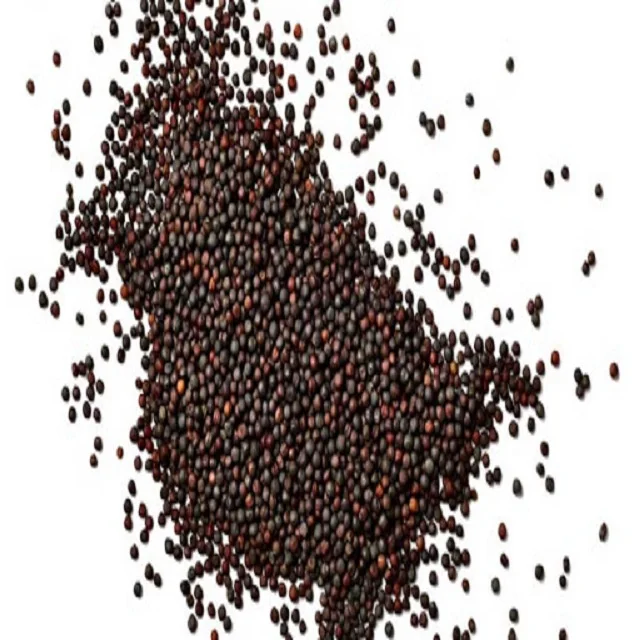 Non-GMO Canola Seeds,.jpg