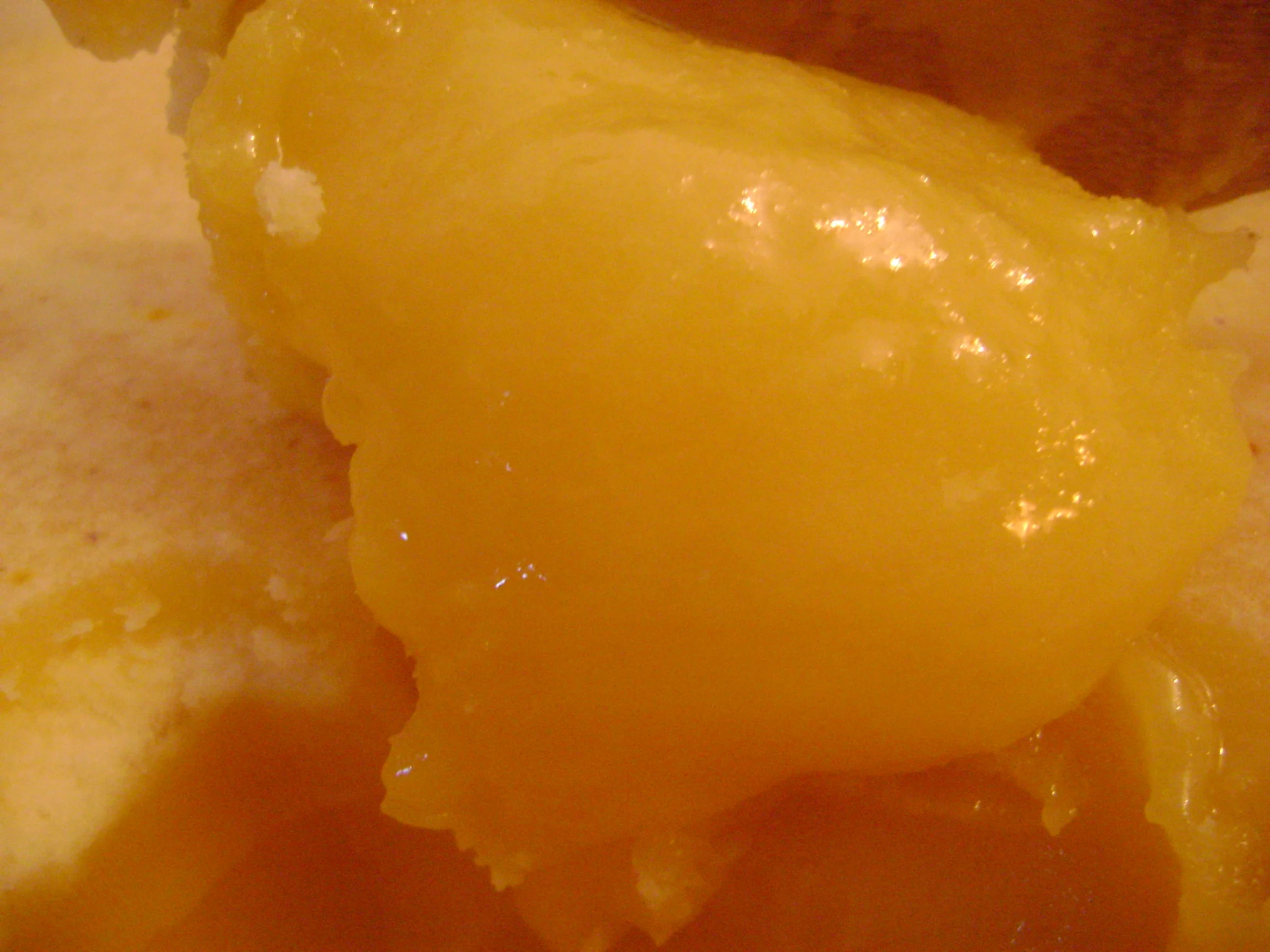 
Milk Thistle Honey Premium Quality Altai Siberia Exclusive 