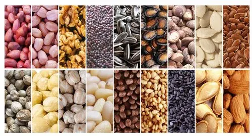 
ZY-2BA Oil Extracting Machine 