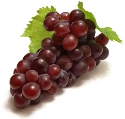grapes_13621922962518.jpg