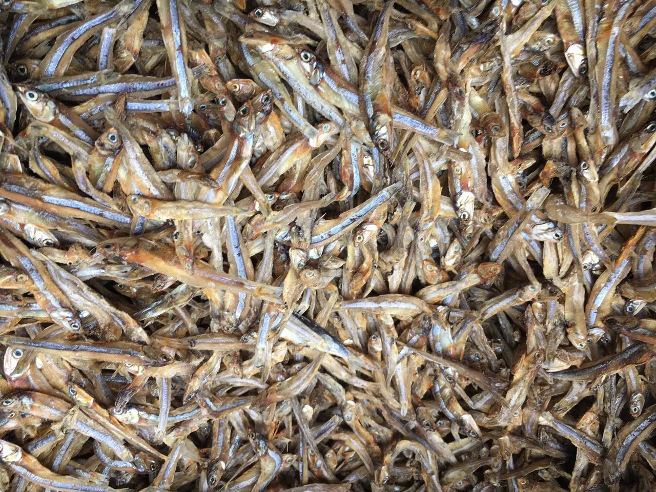 Whole Sun Dry Boneless Anchovy Fish From The Ocean Buy Dried Anchovy