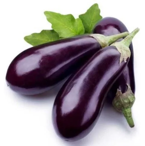 
Nutrient solution hydroponics plant eggplants/Greek Style Eggplant in Tomato Sauce ( Imam ) (BG) - Easy Open Packaging - 280g 