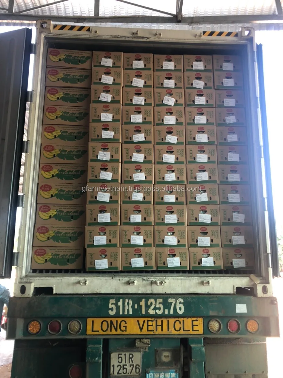 
Price cheap box cavendish banana from Vietnam newest 2020 