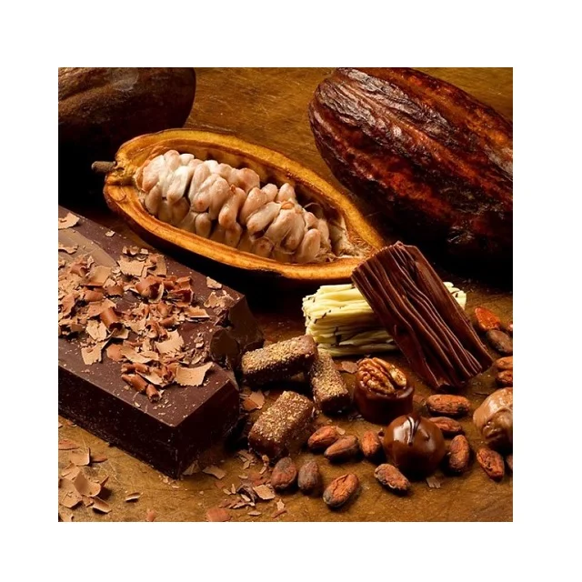 Экспорт какао. Terra Sana какао. Купить какао Бобы из Вьетнама. Alluvia hat Cacao. Surprise Eggs by quality Cocoa for a better Life.