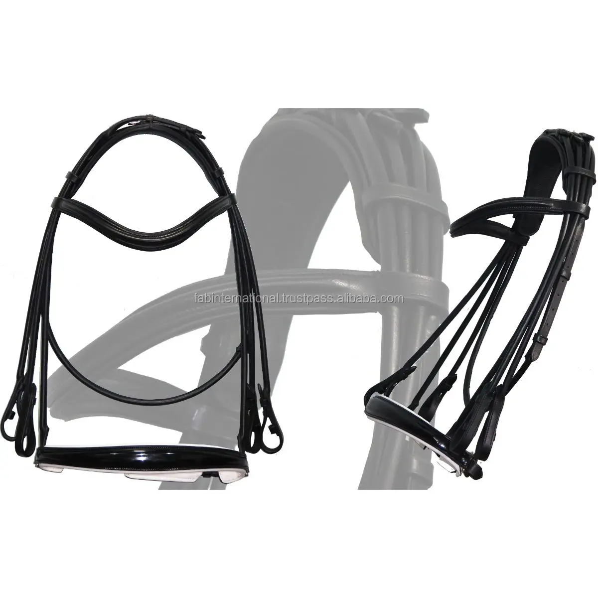 Maestro Double Bridle.jpg