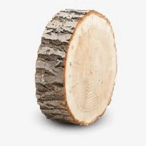 wood logs 3.jpeg
