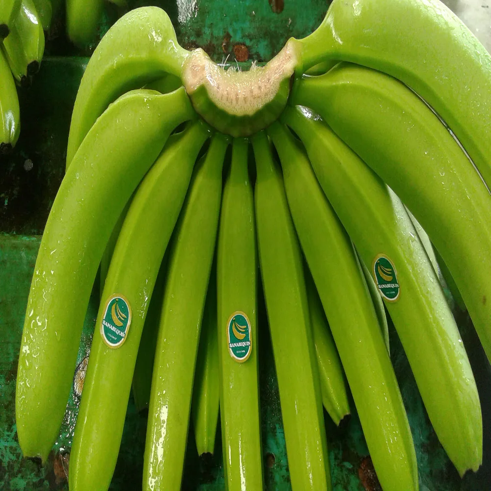 
Banana, Cavendish fresh fruit 