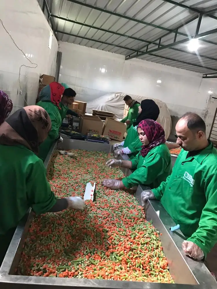 
Egyptian frozen mixed vegetables class one 