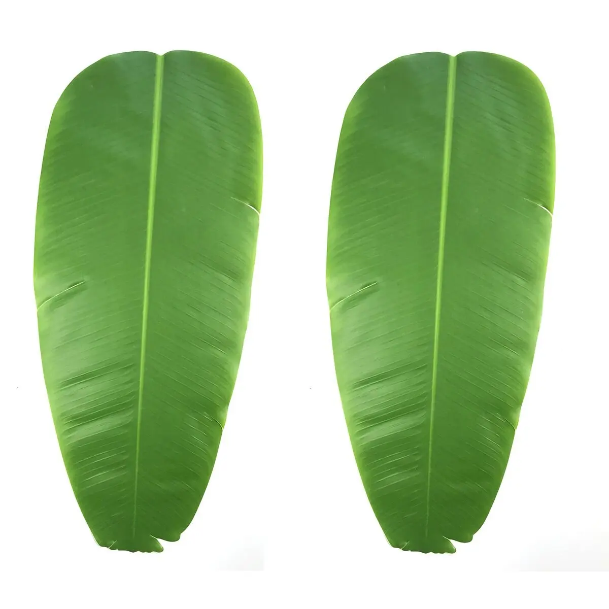 
SUPER CHEAP PRICE BANANA LEAF FOR PACKING FOOD/ WhatsApp  84 932398655 
