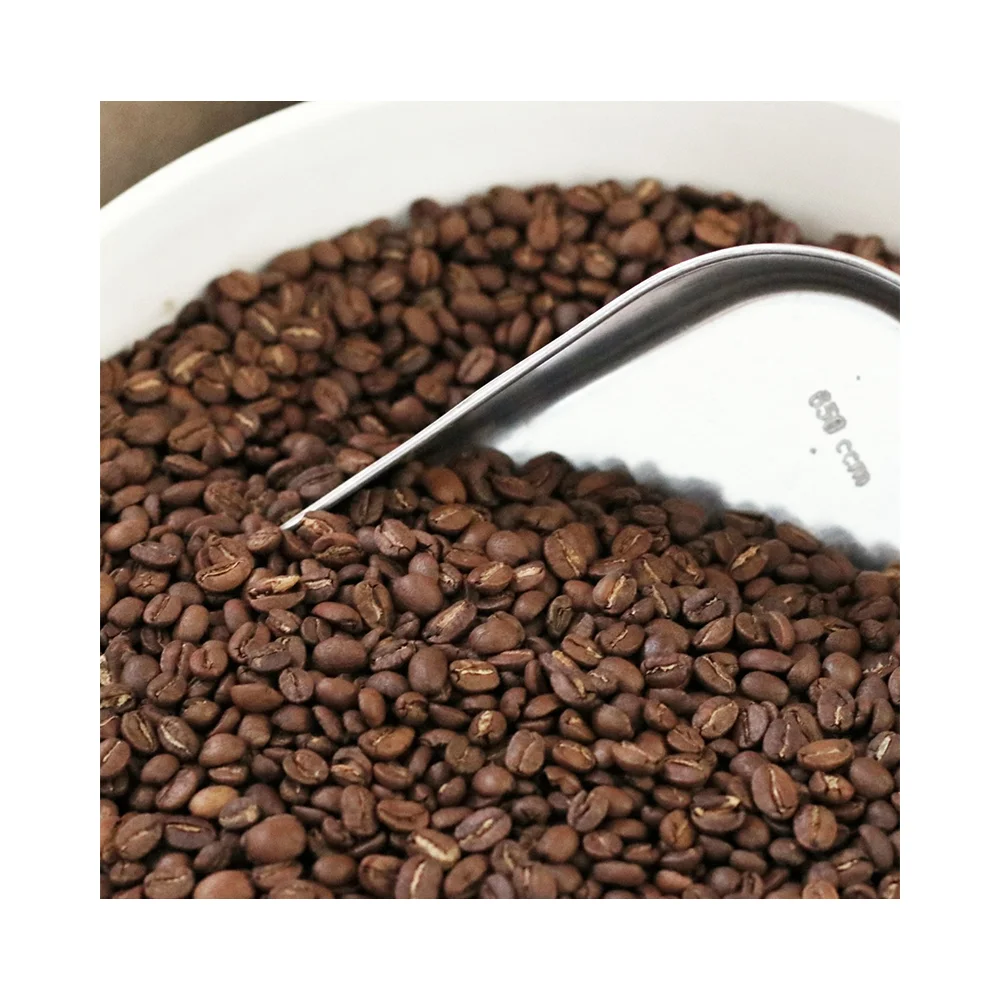 
Wholesale Vietnamese Manufacturer High Quality Robusta Coffee Bean 