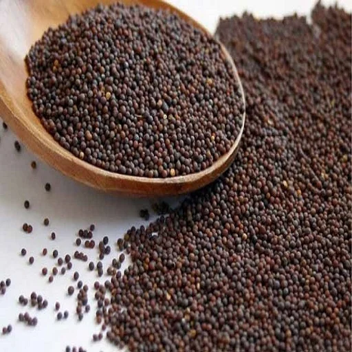 best quality 100% natural yellow mustard seeds