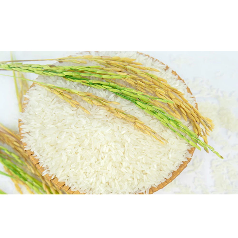 
JASMINE RICE Wholesale high quality 50kg pp bags 