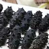 Dried trepung / Seafood Black Dried Sea Cucumber/