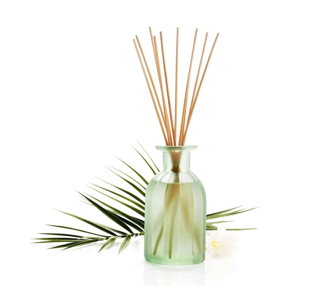 100 Ecofriendly Natural Rattan Diffuser Stick Aromatic Safe Rattan