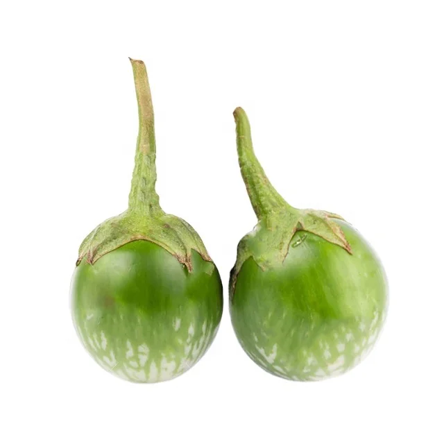 
TOP GRADE INDONESIA FRESH THAI EGGPLANT ROUND FOR EXPORT QUALITY 