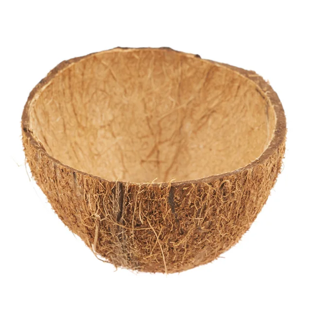 
Agriculture Waste Raw Coconut Shell with High Quality 