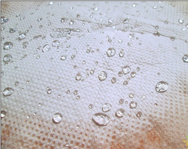 
Plastic Coating Easy Super Hydrophobic CAN No.110 543 Duration 24 Months Works on Car Paint, Metal and Wood 