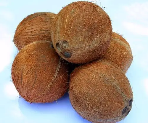 Husked-Matured-Coconut.jpg