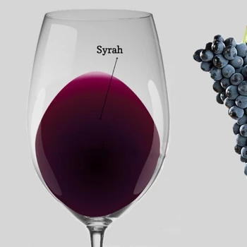 red wine varietal syrah from argentina mendoza spain family