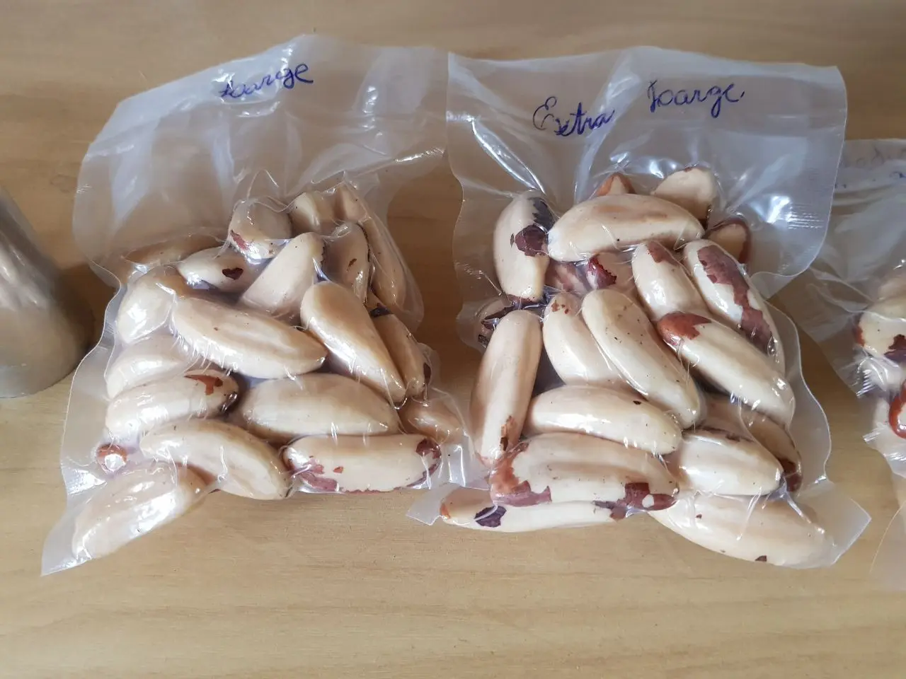 Brazil nut (2).jpg
