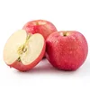 Export Bulk Natrual Fresh Fruits Apples
