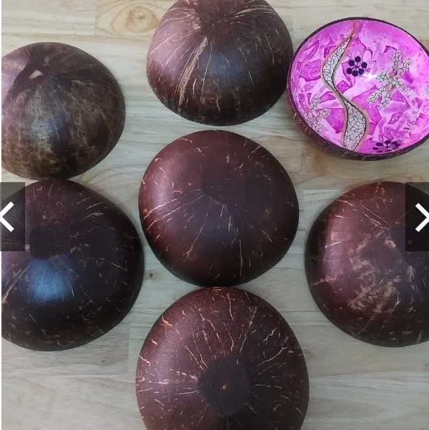 
Coconut Shell Bowl with Lacquer Cheap Price Fancy Design 