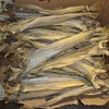 Class 100% Best Quality Dry fish, anchovy dry fish, stock fish, Salmon